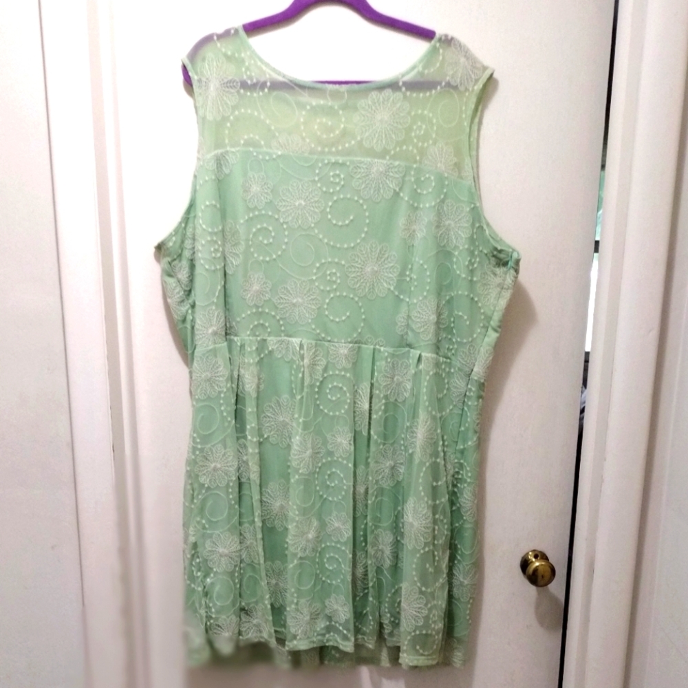 Vintage-Inspired Mint Green and Ivory Embroidered Lace Dress
